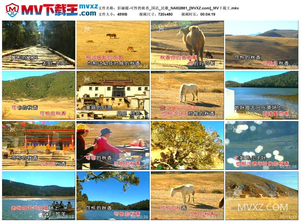 彭丽媛-可怜的秋香_国语_民歌_NAI02881